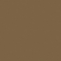 107-1001 CHAMPAGNE