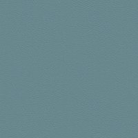 107-2106 CORAL