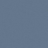 107-2107 SKYLIGHT
