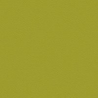 107-2110 AVOCADO