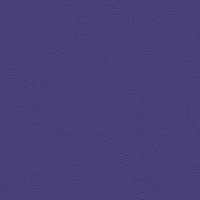 107-2118 ULTRA VIOLET