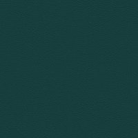 107-2119 TEAL