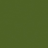 107-5001 OLIVE