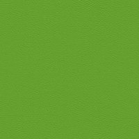 107-5041 APFEL
