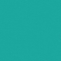 107-5056 JADE
