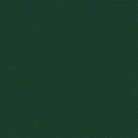 107-5069 GRUN