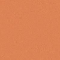 107-6013 MELONE