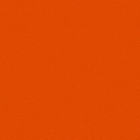 107-6019 ORANGE