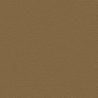 107-6020 GOLD (MET.)