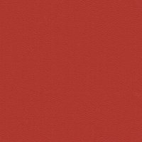 107-6033 NECTARINE