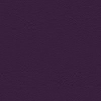 107-7001 AMETHYST