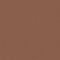 62904 CARAMEL 