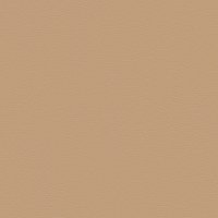 62964 CAMEL 