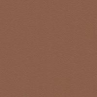 62904 CARAMEL 