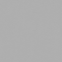 62959 SILVER 
