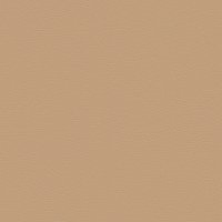 62964 CAMEL 