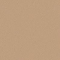 64022 CAMEL