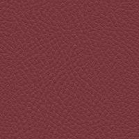 40461 BORDO
