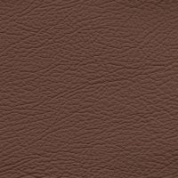 669 BROWN