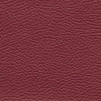 3407 BORDO 